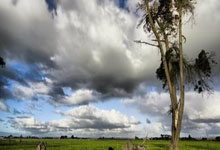 冠军奥运篇｜马龙：热爱和追求让我走到今天.：雷竞技