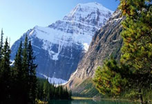 现场视角：林良铭“爆头”卡迪什后，沙特球员抱头捂脸不敢看.