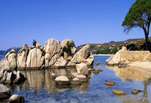 乒乓球——亚洲杯：张本美和晋级八强.：雷竞技